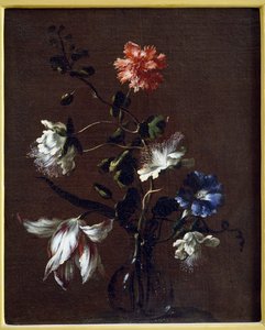 Stilleven van kapperbloemen, anjers, haagwinde en tulpen